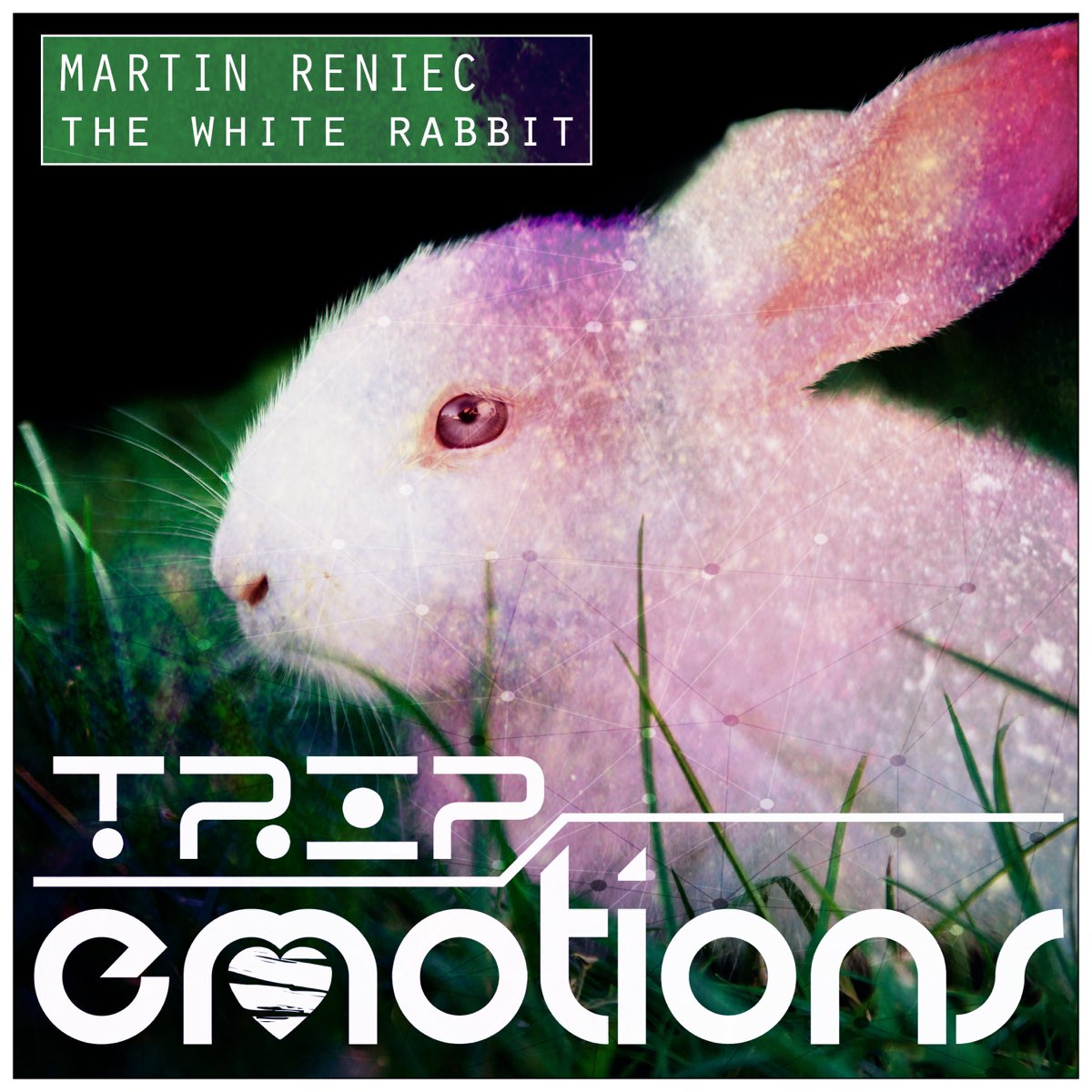 ‎The White Rabbit - Single - Album by Martin Reniec - Apple Music