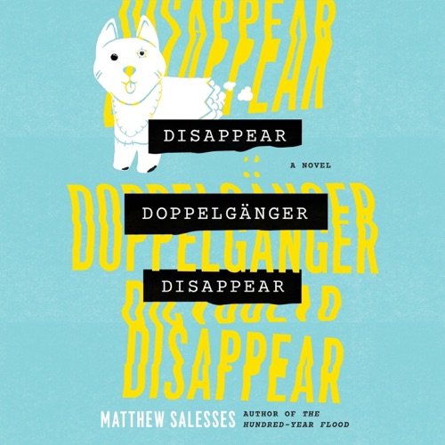 Disappear Doppelgänger Disappear: A Novel (Unabridged) cover