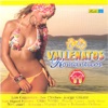 14 Vallenatos Romanticos, Vol. 11