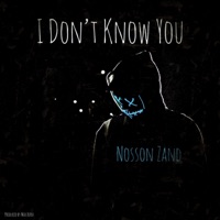 I Don't Know You - Single - Nosson Zand