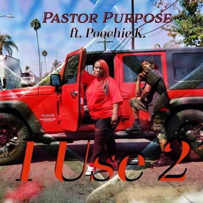 I Use 2 (feat. Poochie K) - Single