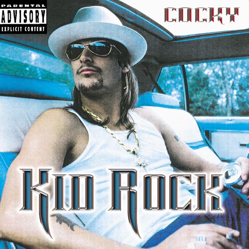 Art for Picture (feat. Sheryl Crow) by Kid Rock
