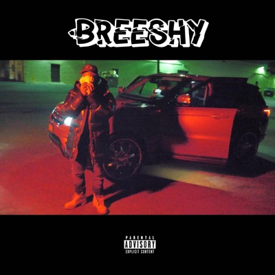 Breeshy - Single
