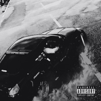 Foundation - Single - LIONAIRE