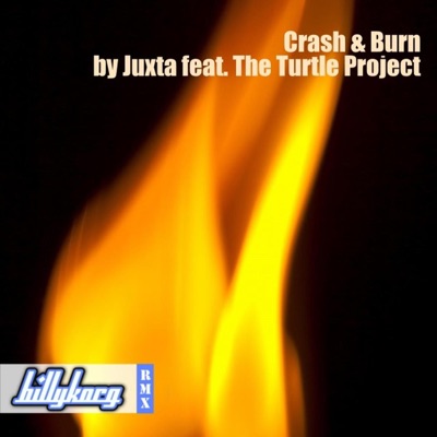 Crash and Burn (feat. The Turtle Project) [Billy Korg Remix] - Single