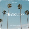 Tranquilo (feat. Mario Vinalay) - Single