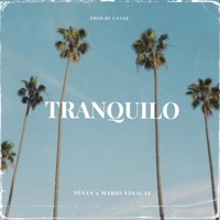Tranquilo (feat. Mario Vinalay) - Single - Diaan
