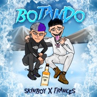 Botando (feat. Frânces) - Single - Skinboy