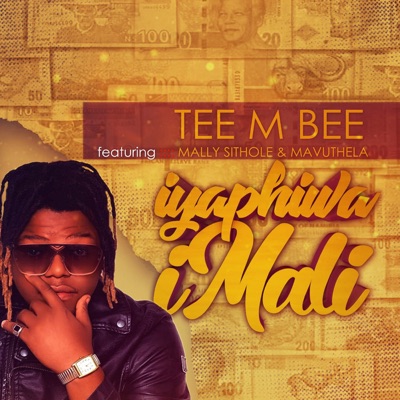 Iyaphiwa Imali (feat. Mally Sithole & Mavuthela) - Single