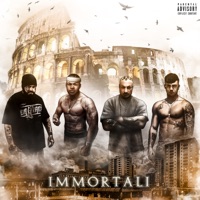 IMMORTALI (feat. Youngotti & Sayanbull) - Single - Ion