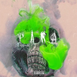 Para Saito the Artist