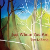 Tim LaBorie - Salvation in His Shoes