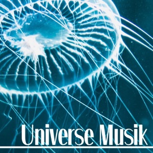 Universe Musik (feat. Dj Freccia)