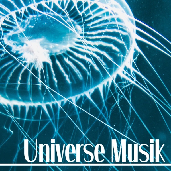 Universe Musik (feat. Dj Freccia)