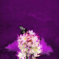 יותר מדי - Single - Guy Ackerman