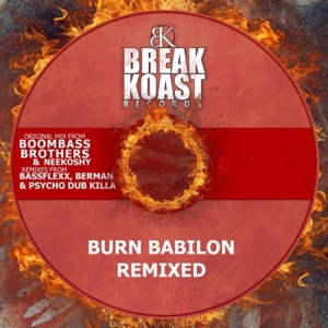 Burn Babylon (Remixes) - Single