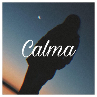 Calma (feat. Elfa) - Single