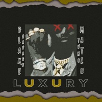 Luxury - Single - Blake Muzik & Marlonyss