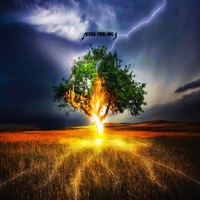 Mixed Feelings - Gaetsh