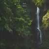 Marsh - Lailonie