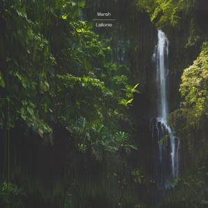 Lailonie - Single