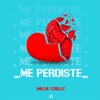 Me Perdiste - Single