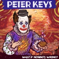 What If Nothing's Wrong? - Single - Peter Keys