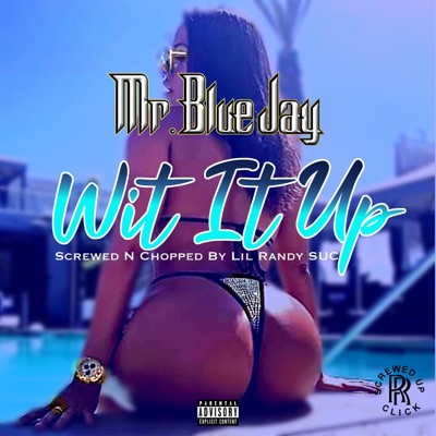 Wit It Up (S.U.C Mix) - Single