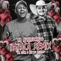 Ta Apaixonado Babaca (Remix)
