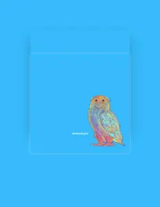聆聽 bird.、觀看音樂影片、閱讀小傳、查看巡演日期等！
