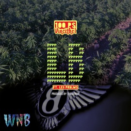 100 Ps (feat. Le$ Prblms) Vincithe1