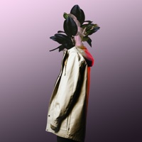 Flower - Single - PLÜM