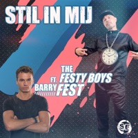 Stil in Mij (feat. The Festy Boys) - Single - Barry Fest