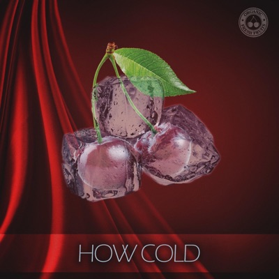How Cold (feat. Emby) - Single