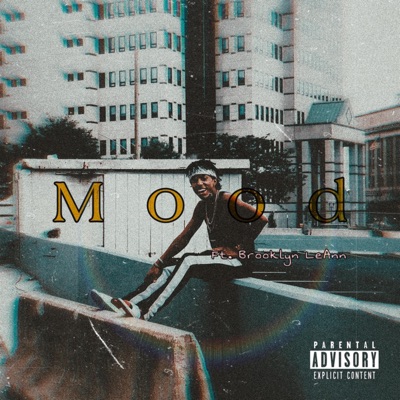Mood (feat. Brooklyn LeAnn) - Single