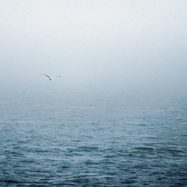 Clarity