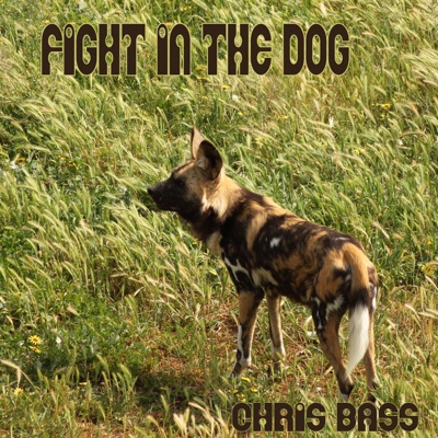 Fight in the Dog (Maxi-Single) - EP