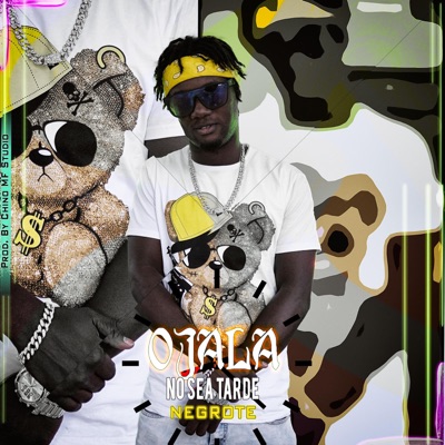 Ojalá no sea tarde - Single