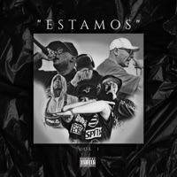 Estamos, Vol. 1 (feat. Sulphuric Acid, Dany Dk, JM12, Chelo & Tfk-Grow) - Single - GERMENONE