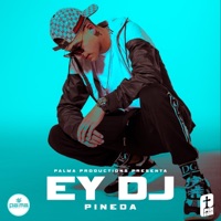 Ey Dj - Single - Pineda