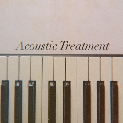 Acoustic Treatment