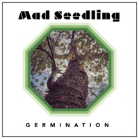 Germination - Mad Seedling