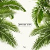 To the Top - Single