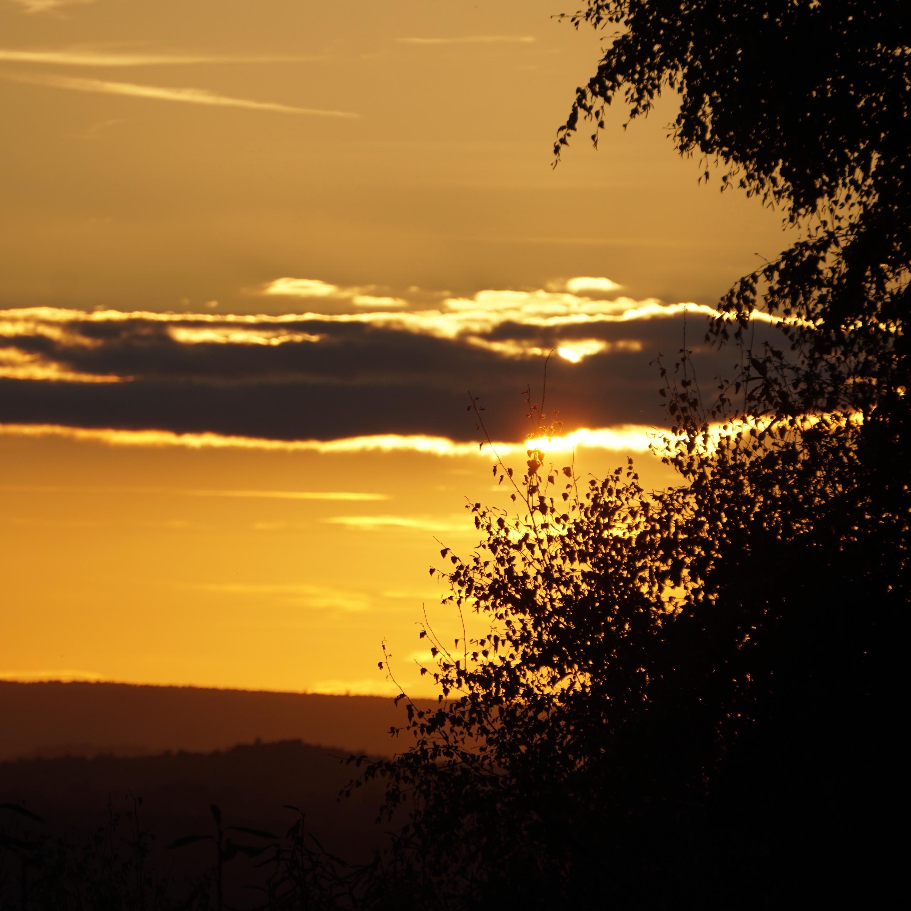 In Time To Come - Single