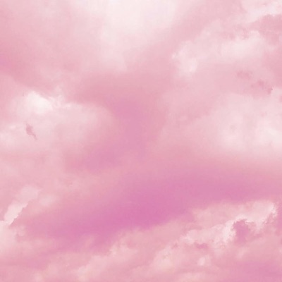 E-Girls (feat. Vonte* & Wulfy) - Single