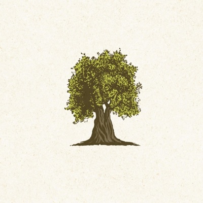 Olive Branch - EP
