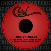 You Sure Look Good to Me - Junior Wells