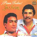 Pintora