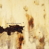 Nine Inch Nails - Mr. Self Destruct