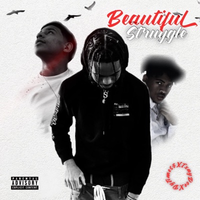 Beautiful Struggle (feat. Tiny Doe) - Single